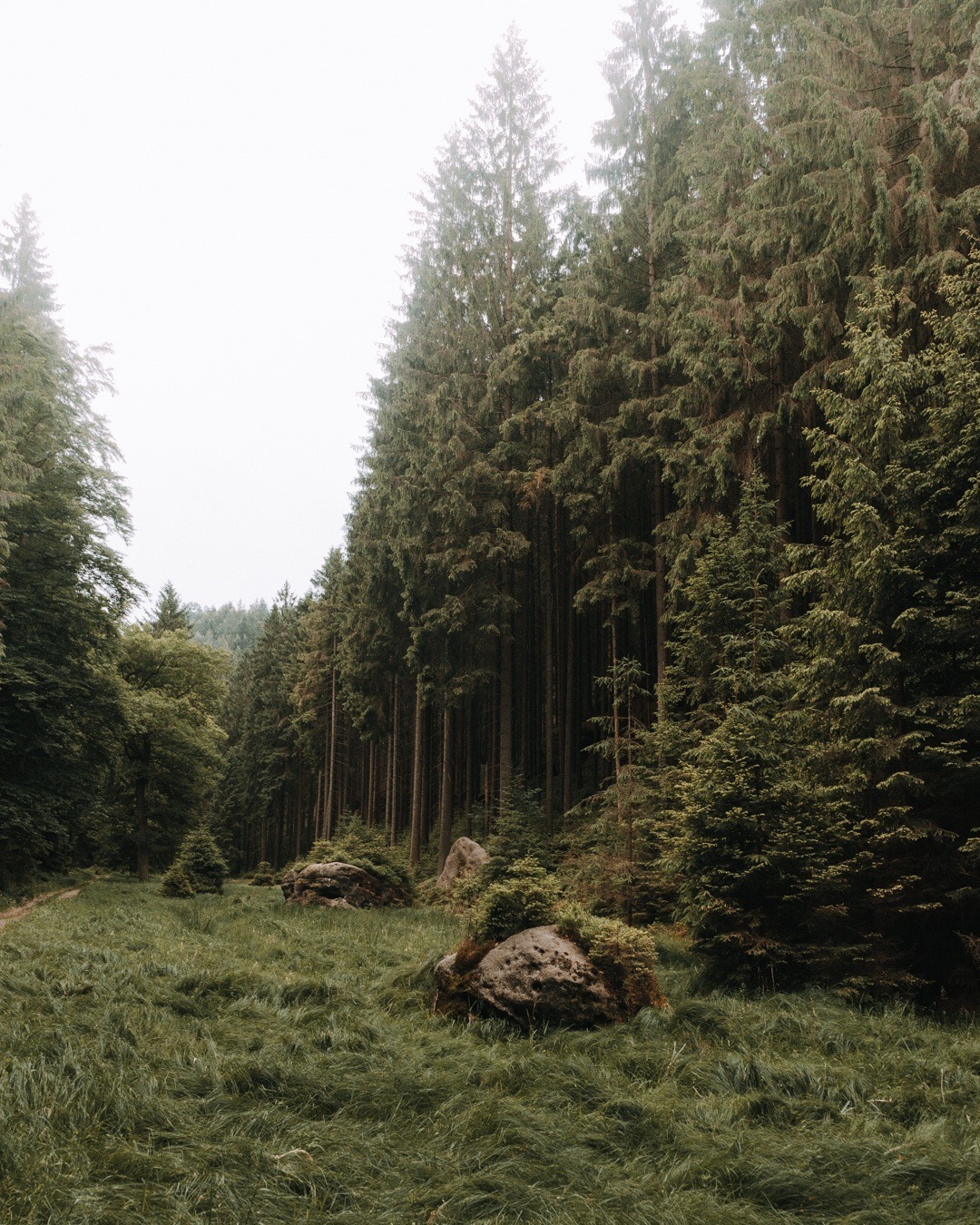 Archillect ID 134287