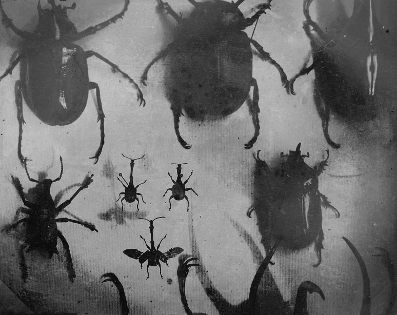 Archillect ID 134538