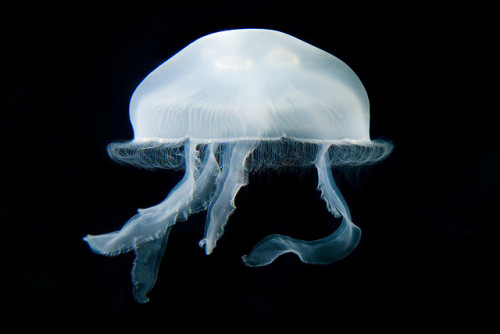 Archillect ID 134904