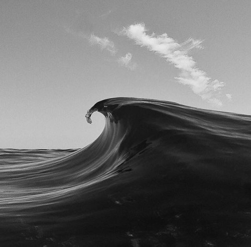 Archillect ID 134999