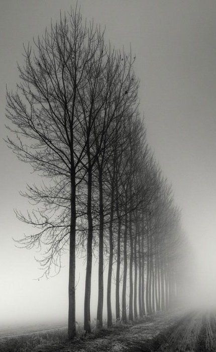 Archillect ID 135106