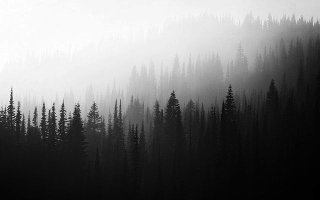 Archillect ID 135125