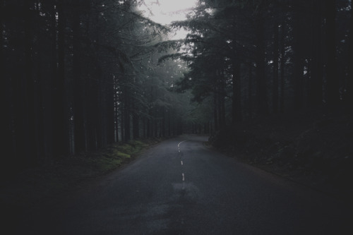 Archillect ID 135360