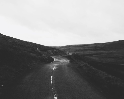 Archillect ID 135378