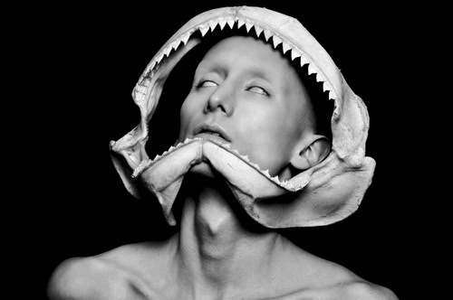 Archillect ID 135411