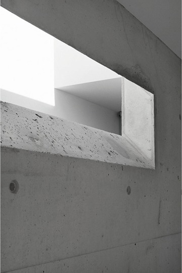 Archillect ID 135517
