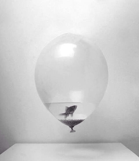 Archillect ID 135644