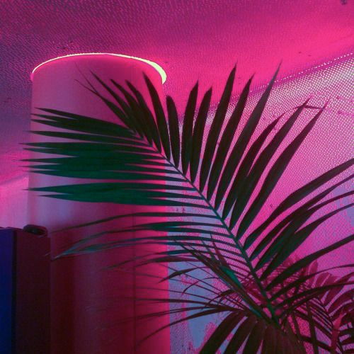 Archillect ID 135667