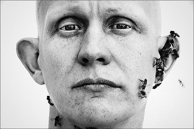 Archillect ID 135803