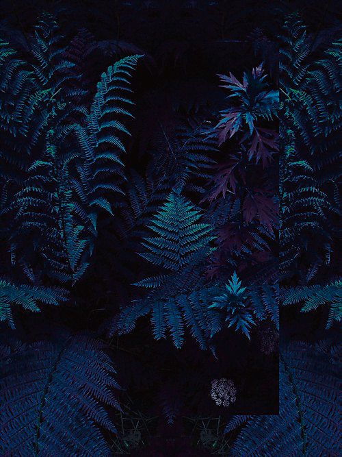 Archillect ID 135953