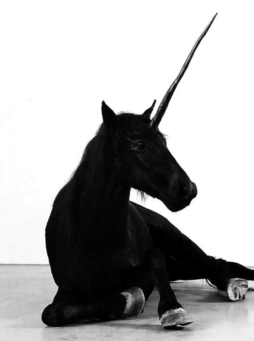 Archillect ID 136183