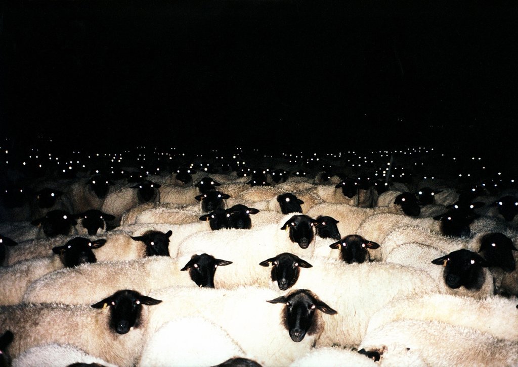 Archillect ID 136329