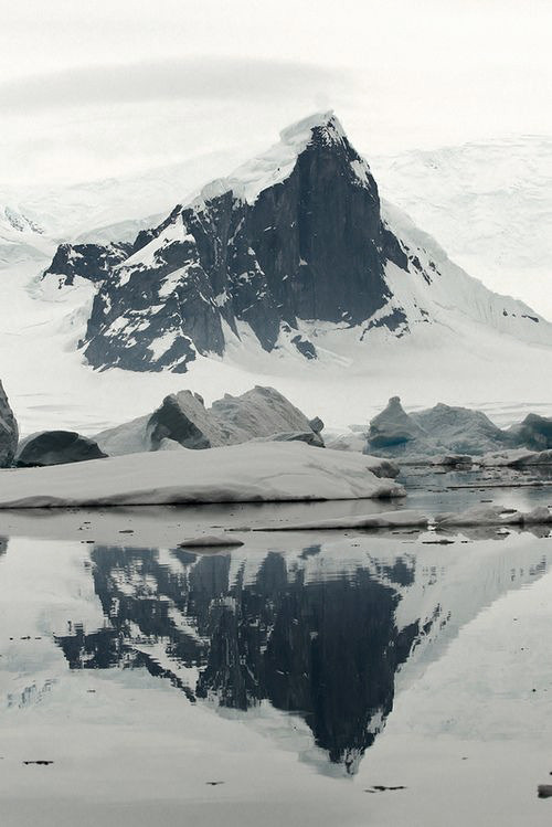 Archillect ID 136459