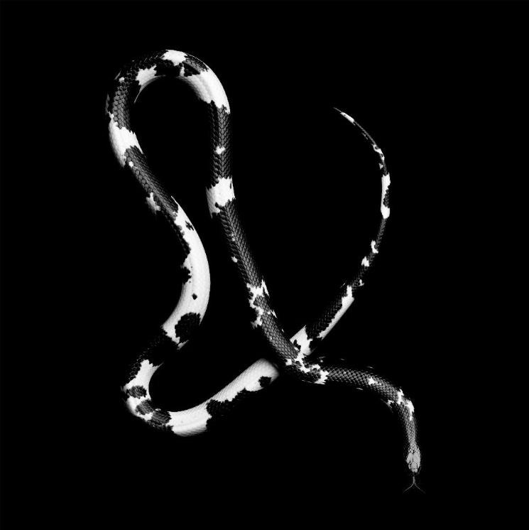 Archillect ID 136772