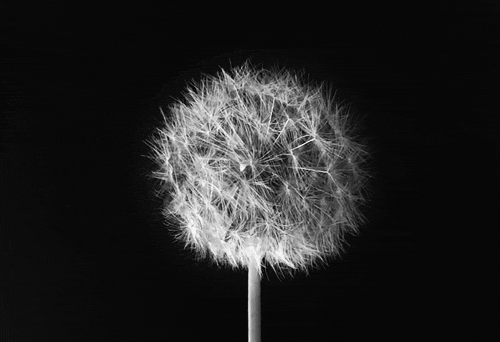 Archillect ID 136793