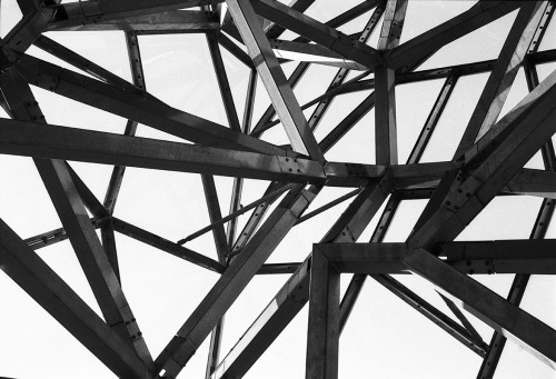 Archillect ID 136806