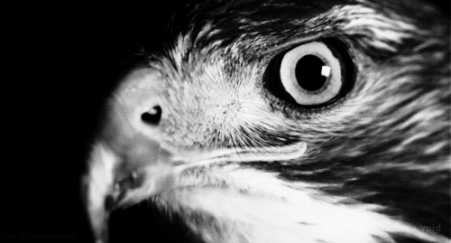 Archillect ID 136896