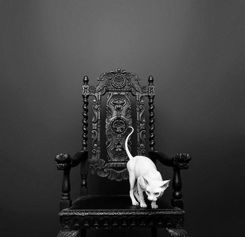 Archillect ID 136927