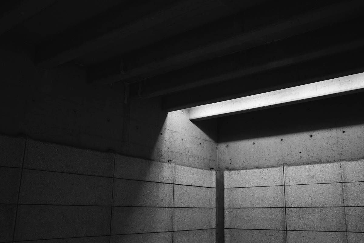 Archillect ID 136973