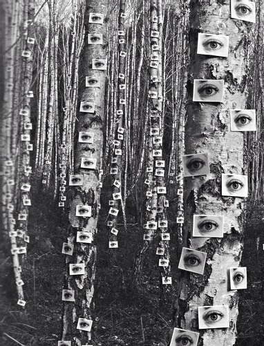 Archillect ID 136974