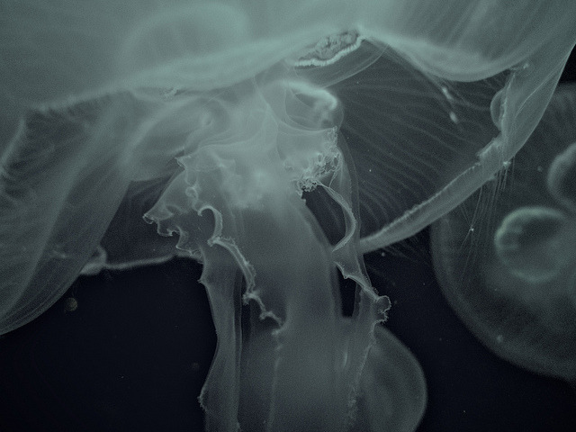 Archillect ID 137215