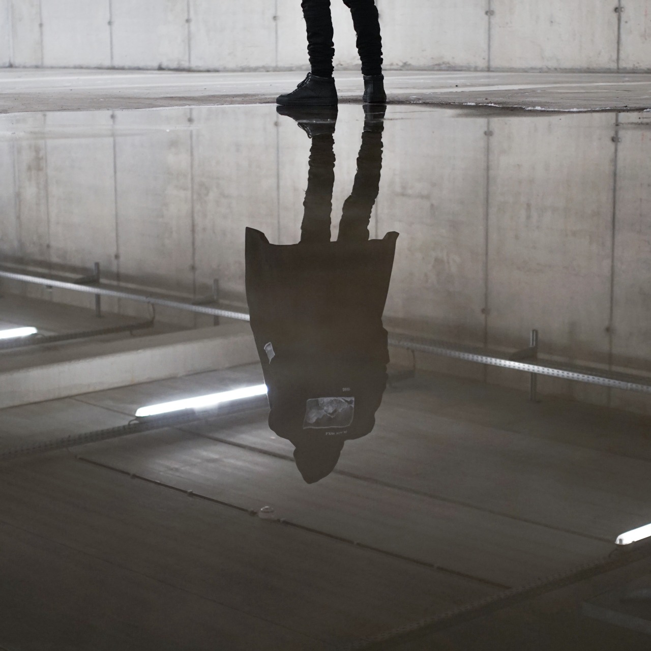 Archillect ID 137250