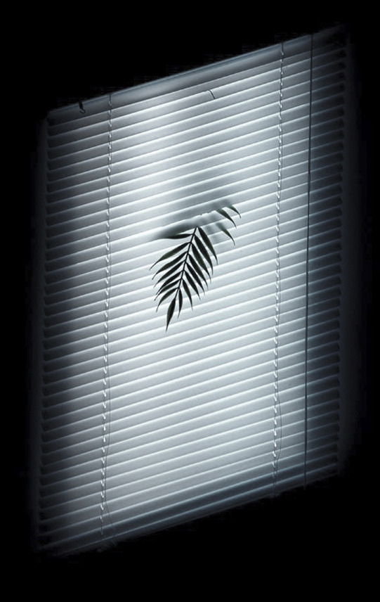 Archillect ID 137352