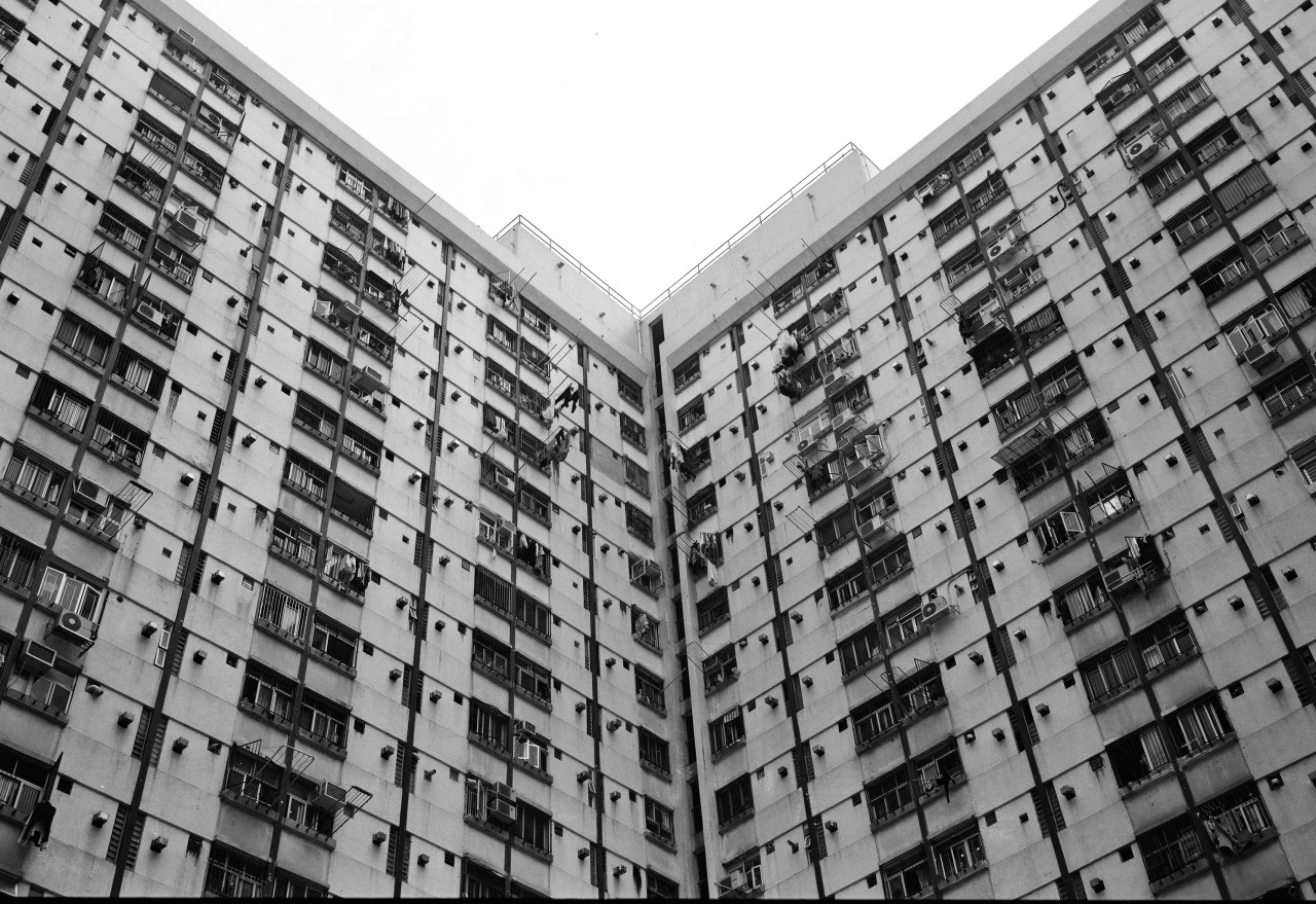 Archillect ID 137353