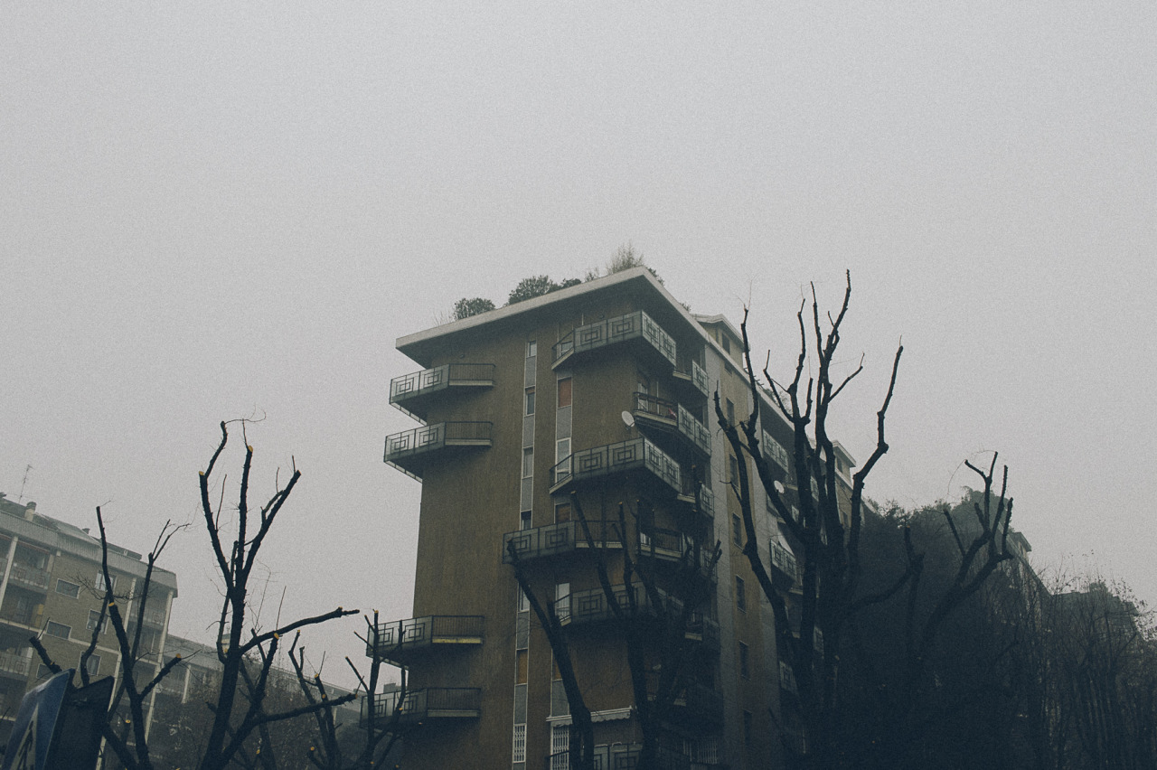 Archillect ID 137393