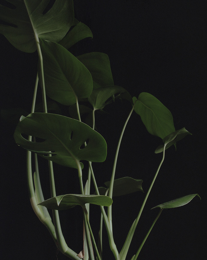 Archillect ID 137398
