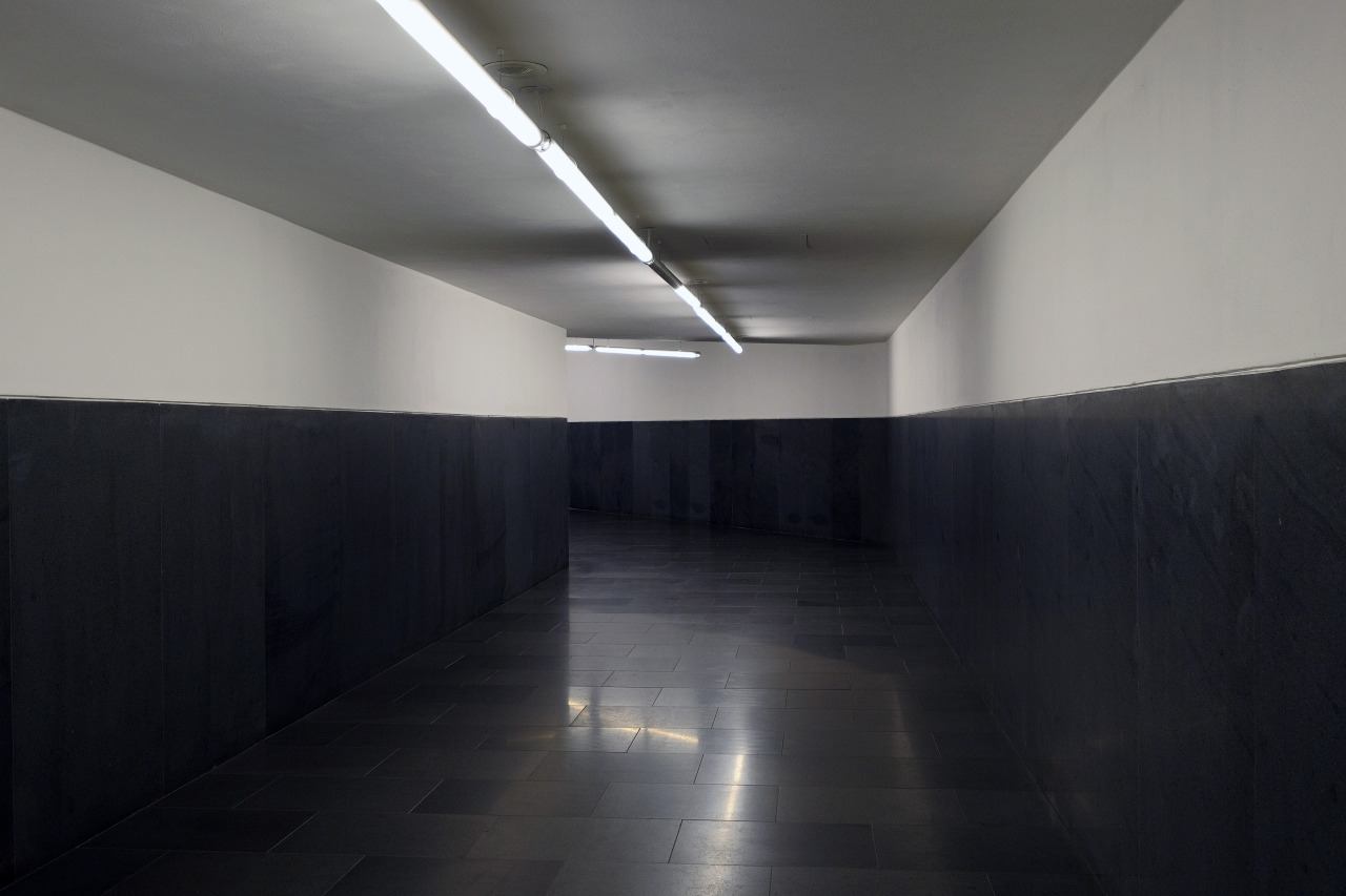 Archillect ID 137411