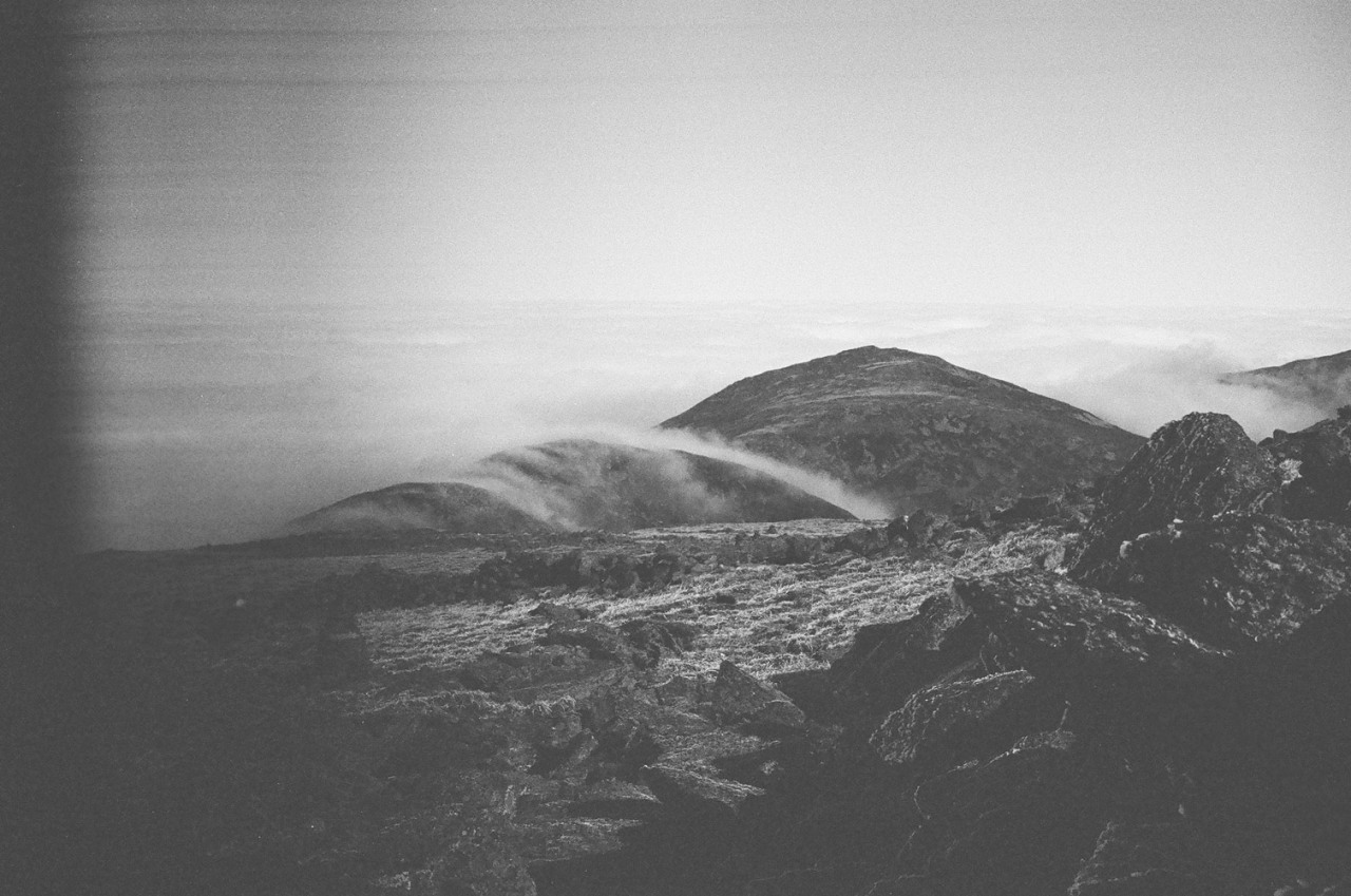 Archillect ID 137521