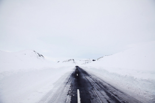 Archillect ID 137636