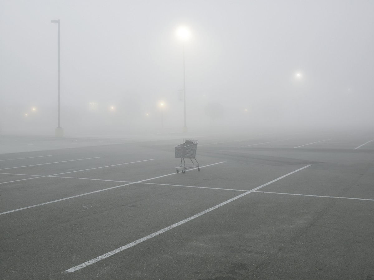 Archillect ID 137923