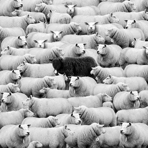 Archillect ID 137998