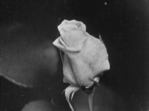 Archillect ID 139210