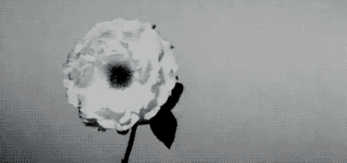 Archillect ID 139264