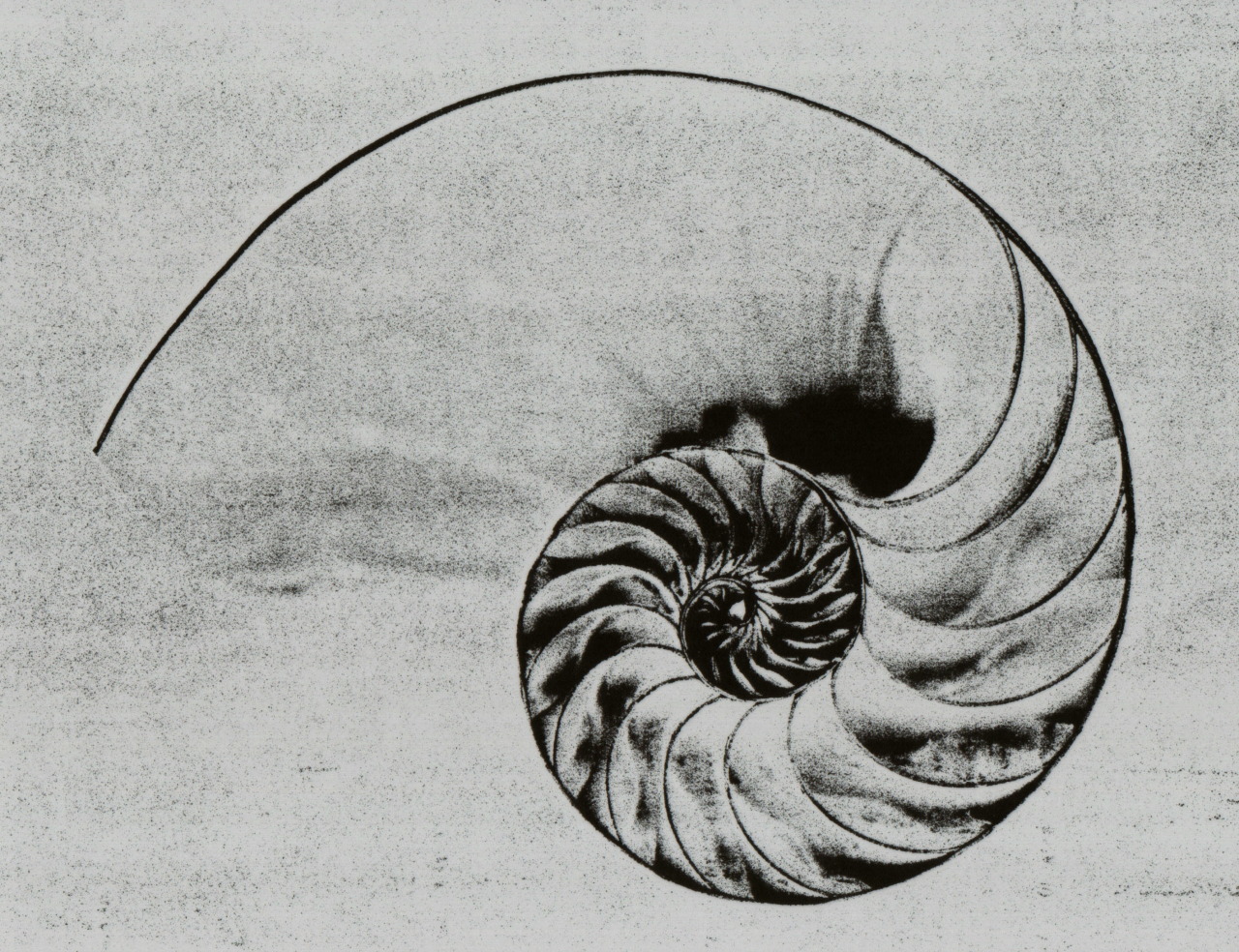 Archillect ID 139271