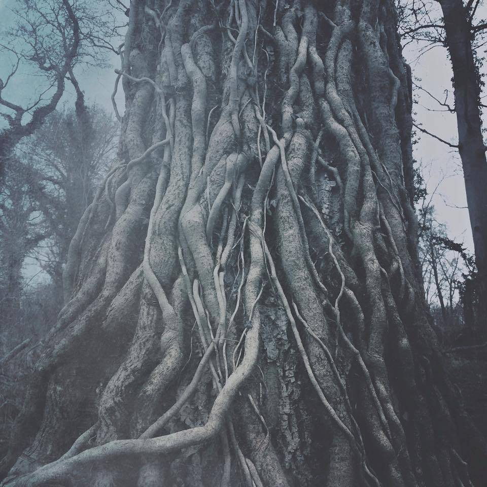 Archillect ID 139329