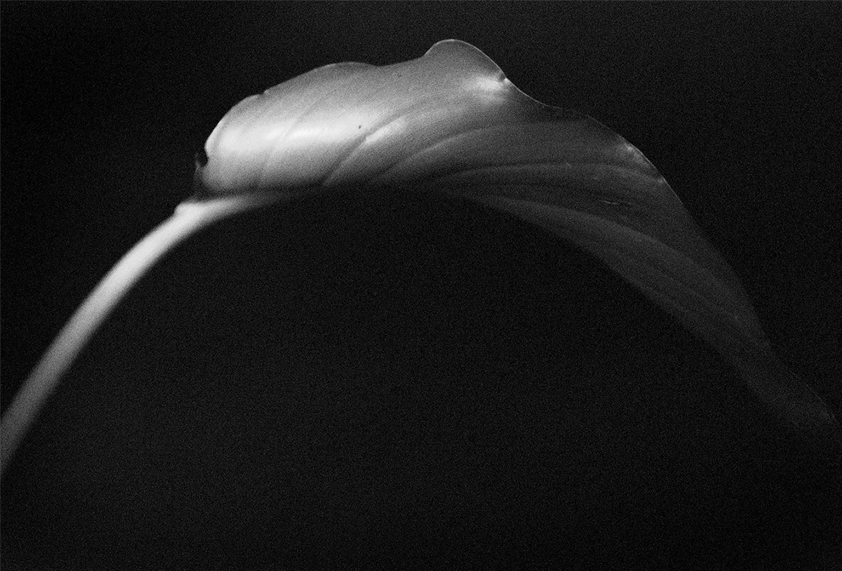 Archillect ID 139535