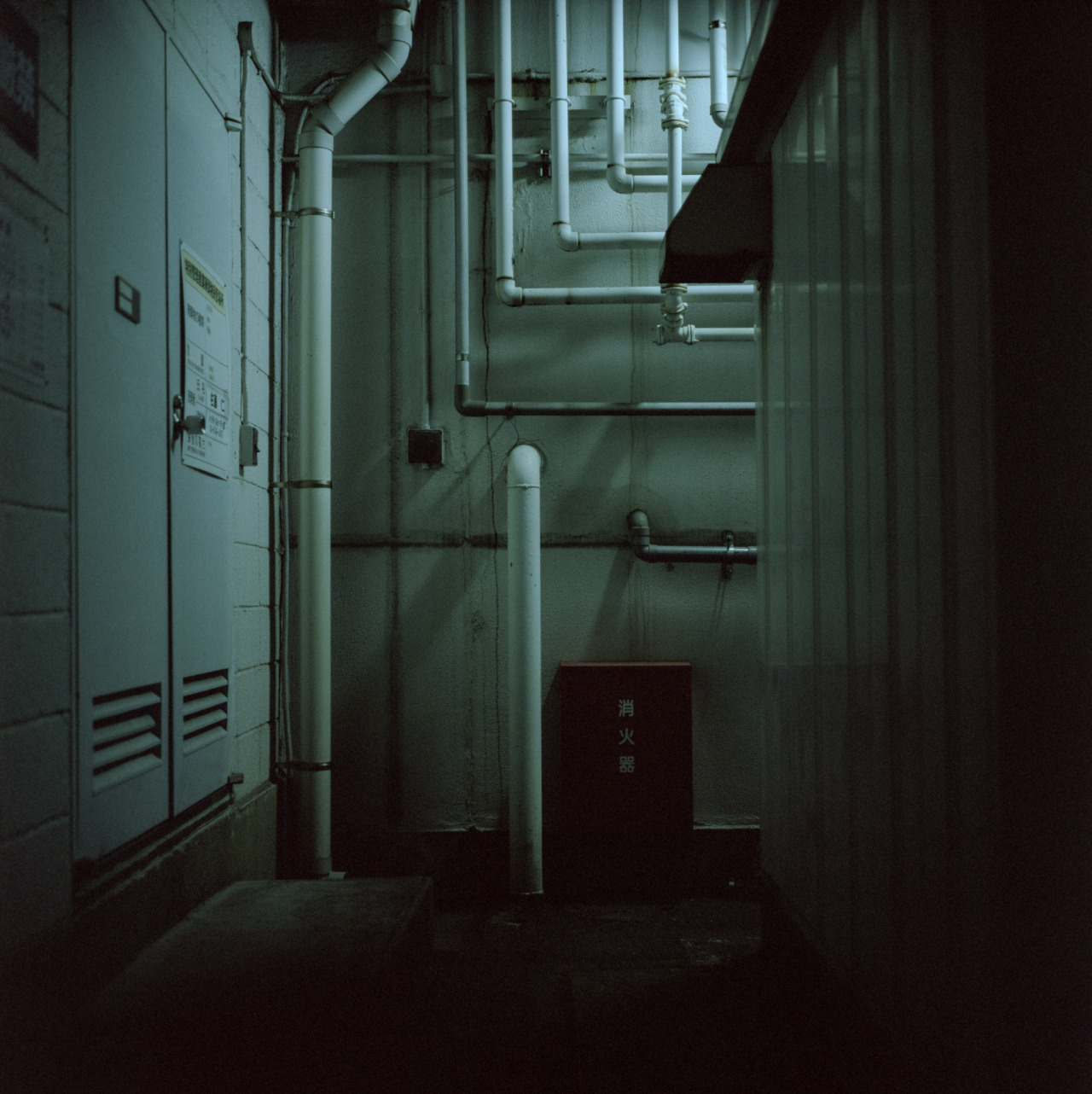 Archillect ID 139542