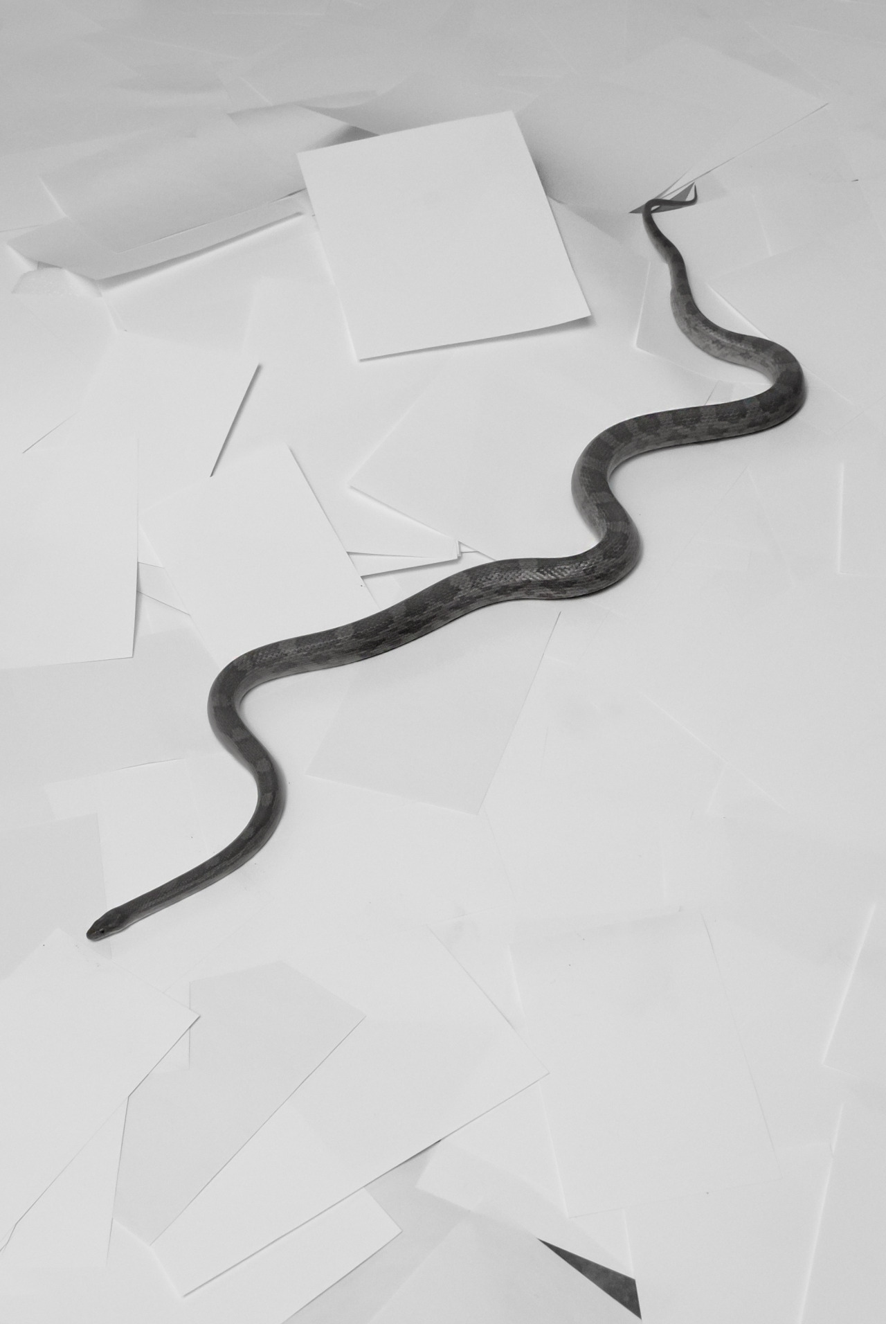 Archillect ID 139694