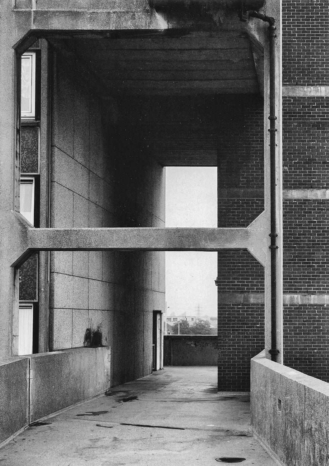 Archillect ID 139719