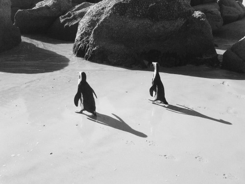 Archillect ID 139802