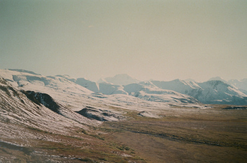 Archillect ID 139842