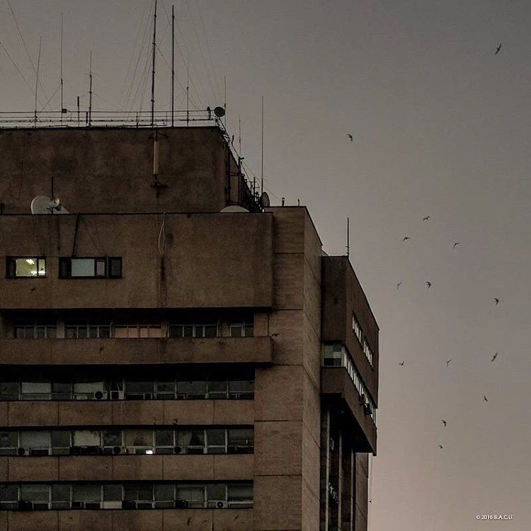 Archillect ID 140012