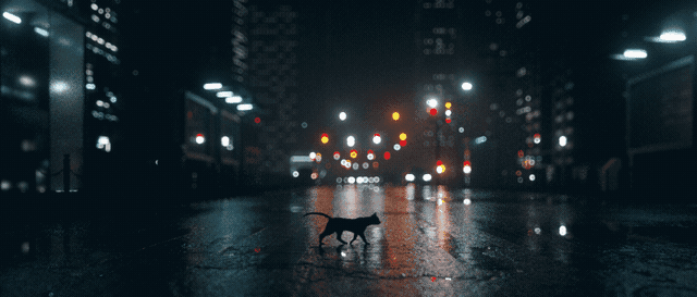 Archillect ID 140213