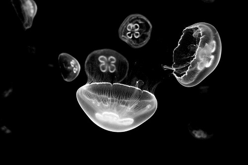 Archillect ID 140236
