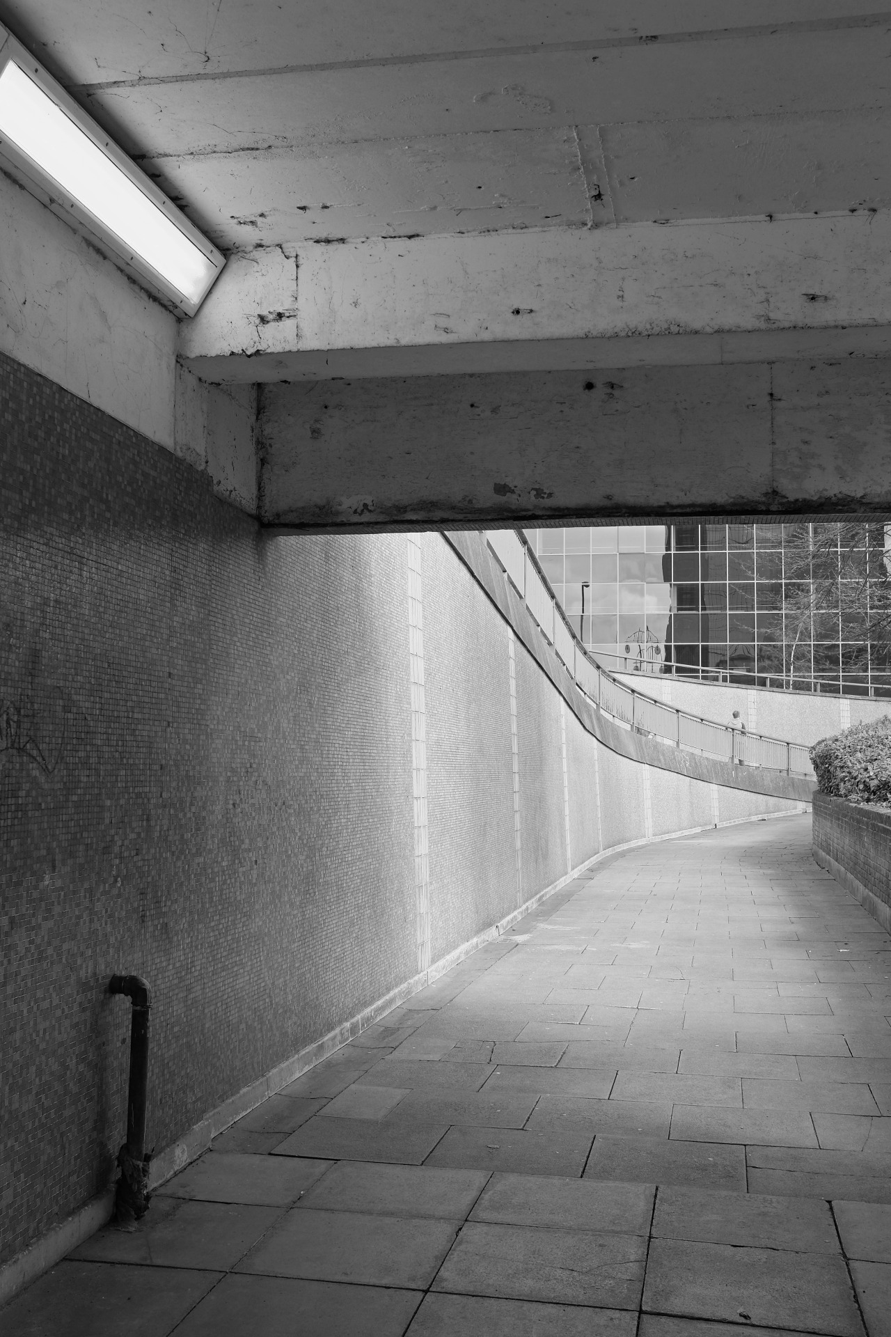 Archillect ID 140555