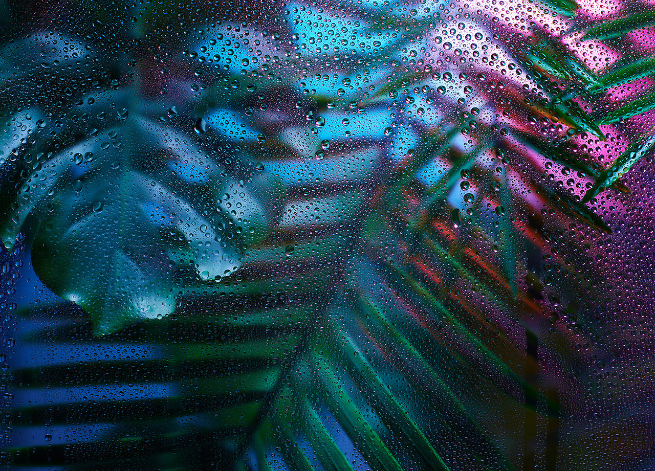 Archillect ID 140738